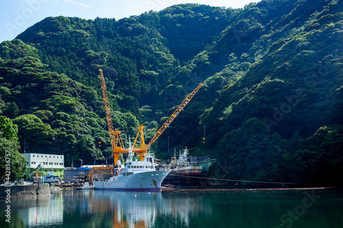 安良里漁港（西伊豆）｜入り江に停泊する船の佇まいに静けさと安らぎを感じました