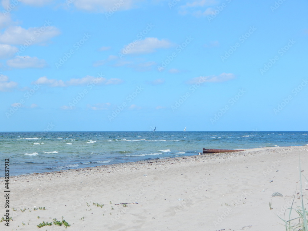 beach and sea