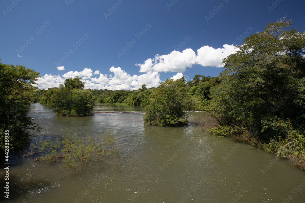 The calm river flowing across the jungle. Beautiful green foliage vegetation under a blue sky.