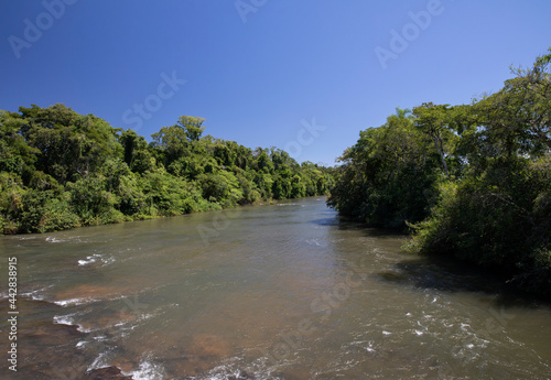 Tropical rainforest landscape. View of the Iguazu river flowing across the jungle. Beautiful green and lush vegetation foliage and texture.