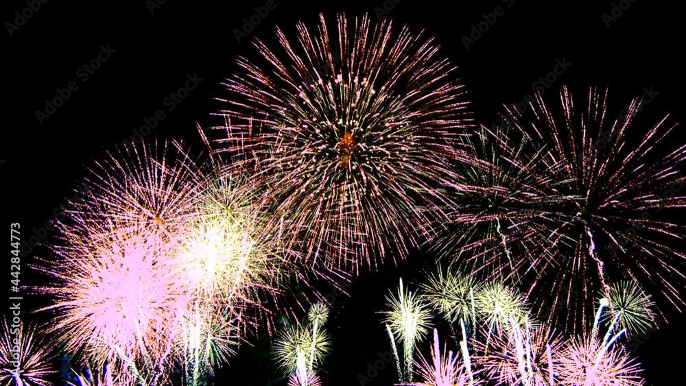 fireworks in the night sky fireworks in the night sky