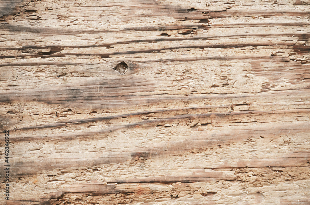 Weathered old wooden board texture. Aged white grunge plank background Weathered old wooden board texture. Aged white grunge plank background