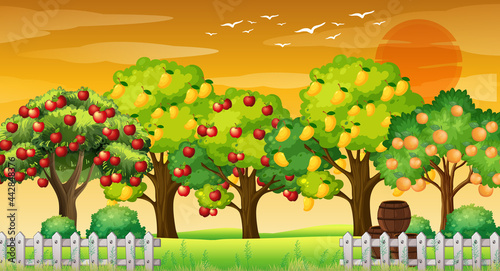 Farm scene with many different fruits trees at sunset time
