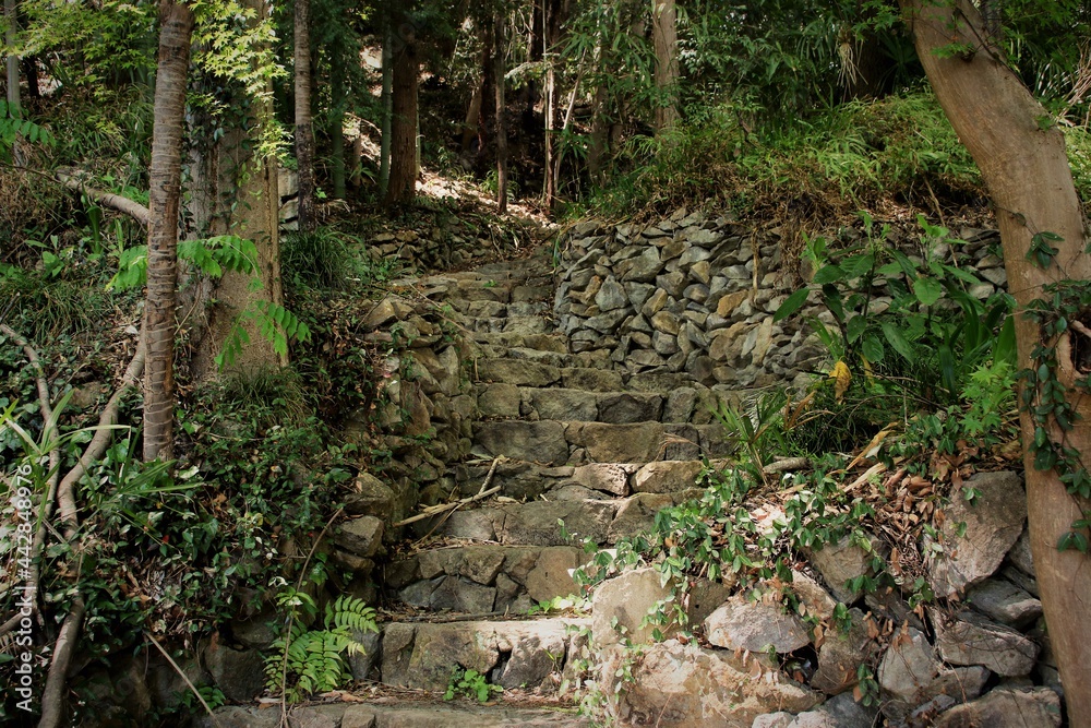 Fototapeta premium Fantastic stone staircase.幻想的な石の階段