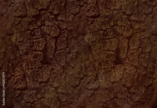 Bark texture asset, brown, organic, 