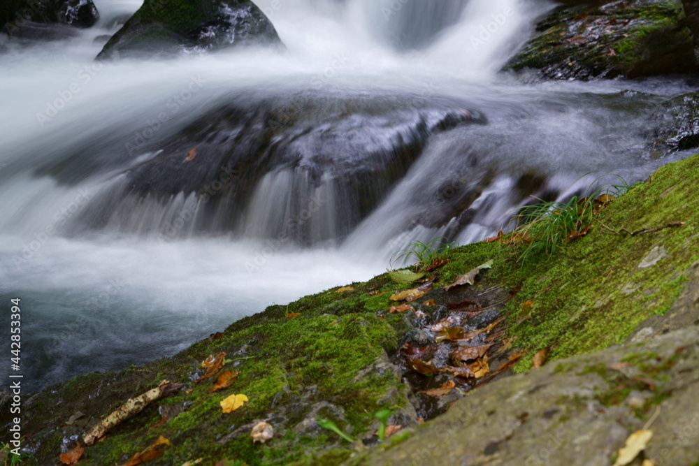 Fototapeta premium 水しぶきがあがる渓流の流れ