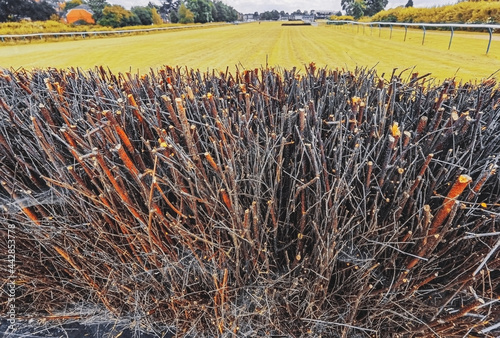 The is Warwick racecourse for steeplechase national hunt fence and hurdles horse racing. On a public park. Warwickshire. England UK.
