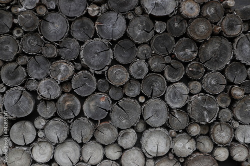 different round wooden disks as a background on a board