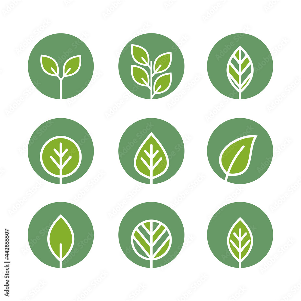 green leaf icons design template vector
green leaf icons design template vector