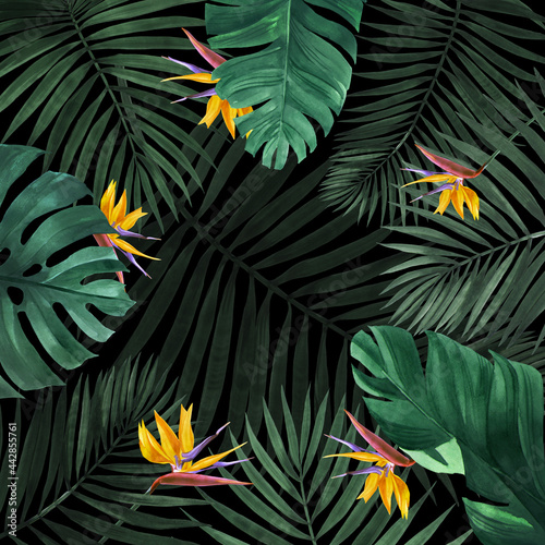 Illustration frame made of palm leaves, munster, banana tree with exotic flowers. You can use it for your own design.