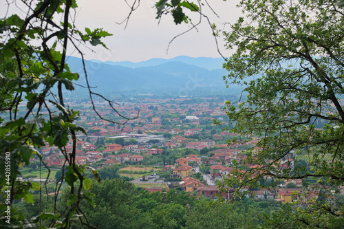 Scenic view on La Spezia town in Italy through the trees