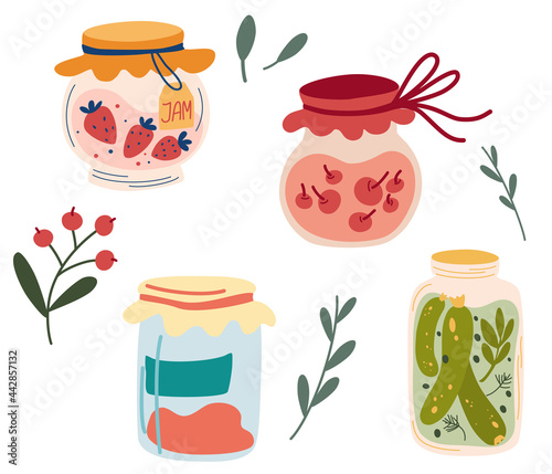 Homemade jars of preserving the fruit and vegetables. Set of glass jars with preserved vegetables, stewed fruits and berry jams. Berry compote or marmalade, jam. Autumn harvest season. Vector