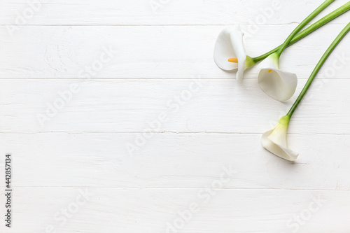 Leinwand Poster Beautiful calla lilies on light wooden background