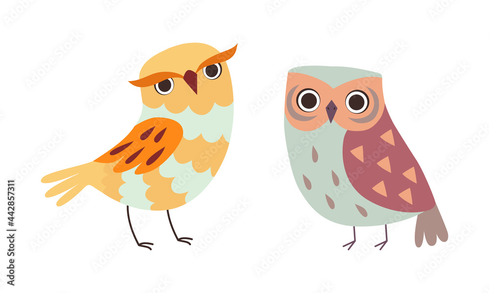 Fototapeta premium Cute Wise Owls Set, Funny Colorful Owlets Cartoon Vector Illustration