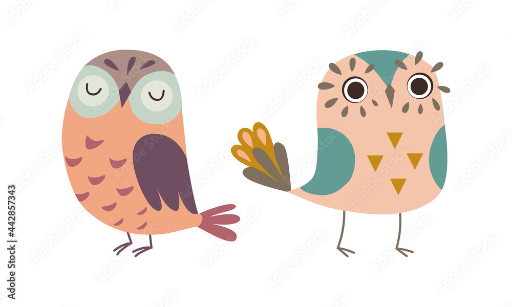 Obraz premium Adorable Colorful Owls Set, Lovely Owlets Cartoon Vector Illustration