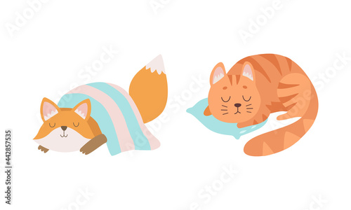 Cute Baby Animals Sleeping in Beds Set, Adorable Fox Cub and Kitten Fell Asleep on Pillows Cartoon Vector Illustration