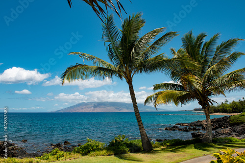 Hawaii beach, hawaiian ocean, aloha maui island. Tropical beach panorama.