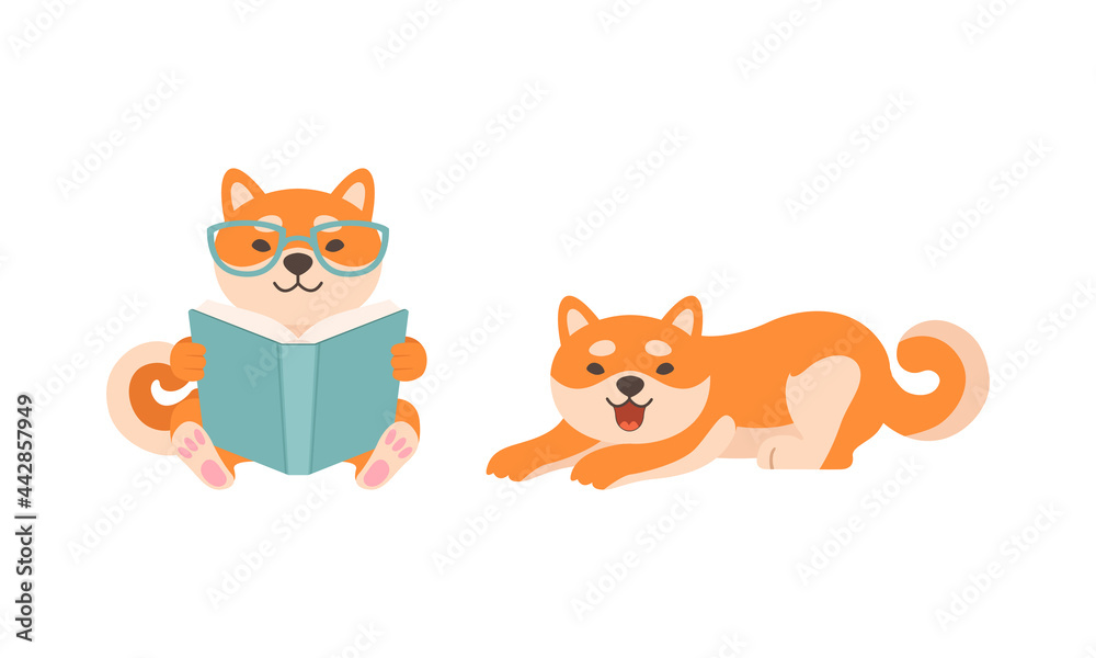 Adorable Shiba Inu Dog Activities Set, Akita Inu Puppy Reading Book and Resting Cartoon Vector Illustration