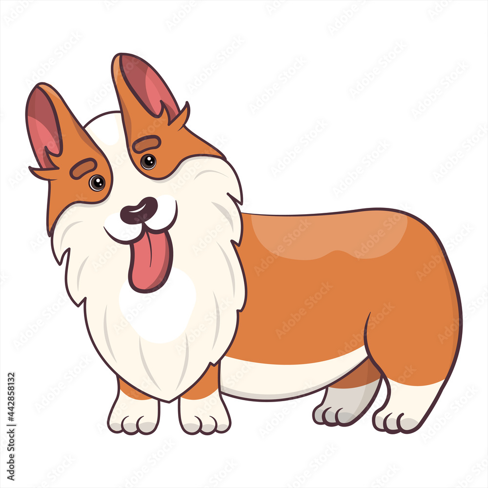 Cute cartoon welsh corgi standing with happy face and tongue out. Portrait of a friendly dog. Vector illustration of adorable pet character isolated on white background