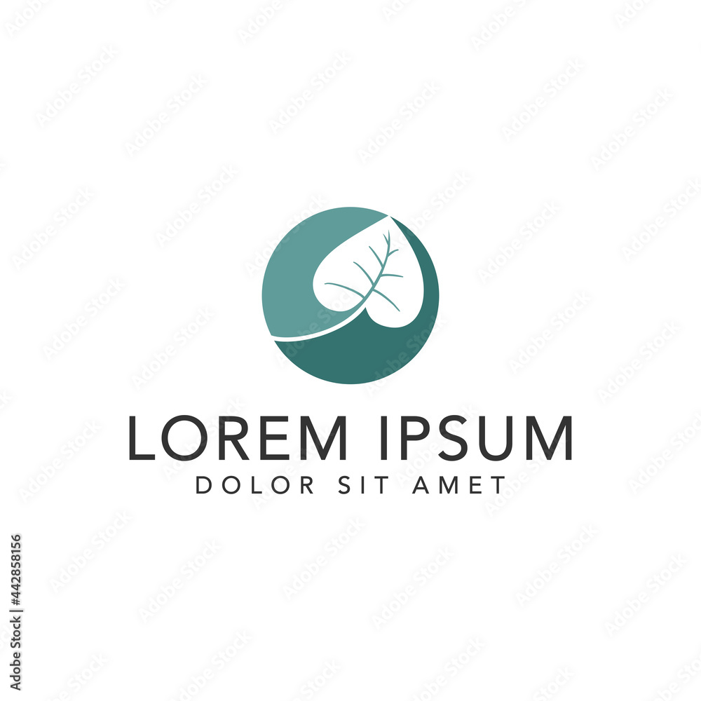 Naklejka premium green leaf icons design template vector 