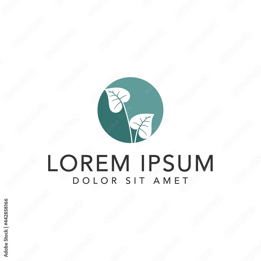 green leaf icons design template vector green leaf icons design template vector