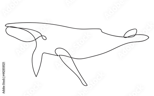 Fototapeta Naklejka Na Ścianę i Meble -  Line art whale in minimal style. Underwater life trendy vector illustration. Abstract sketch with black outlines. Hand drawn silhouette