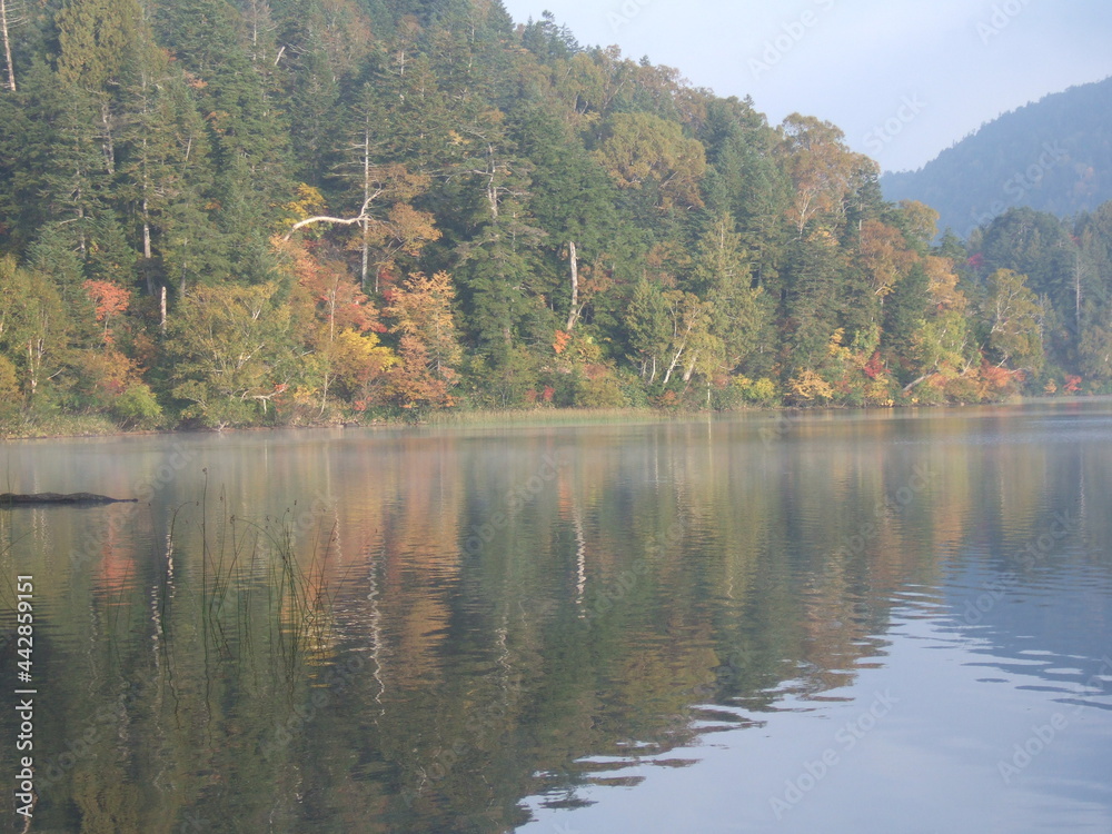 紅葉と湖 紅葉と湖