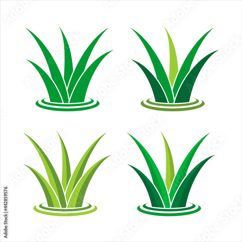 grass vector logo design template

