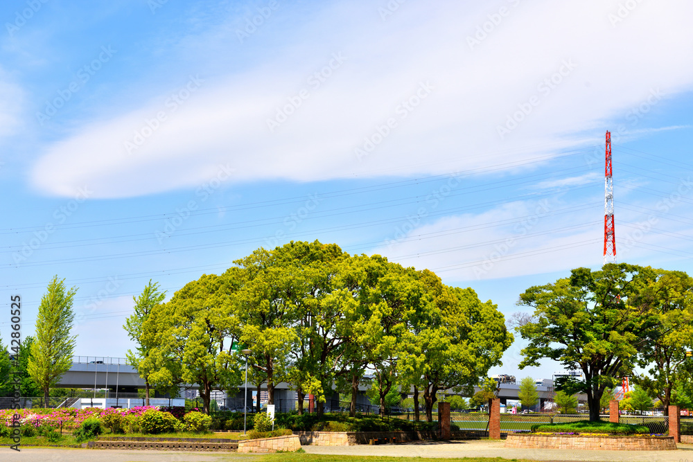 Naklejka premium 海老名運動公園の上空を流れる白い雲