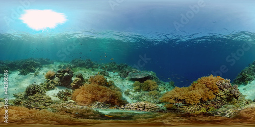 Tropical fishes and coral reef underwater. Hard and soft corals, underwater landscape. Philippines. Virtual Reality 360. © Alex Traveler