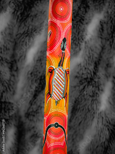 didgeridoo australien photo