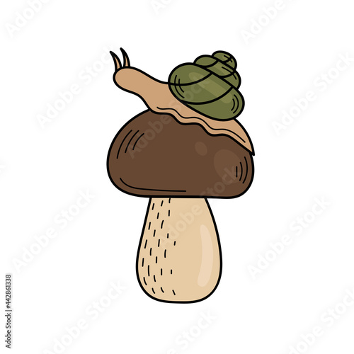 Cute edible mushroom in doodle style. Ingredients for cooking, salads. Autumn plant harvesting. Vector hand illustration