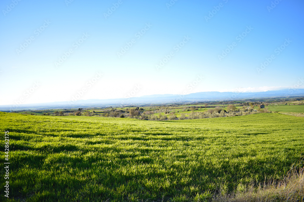 Countryside landscape with mountains behind
