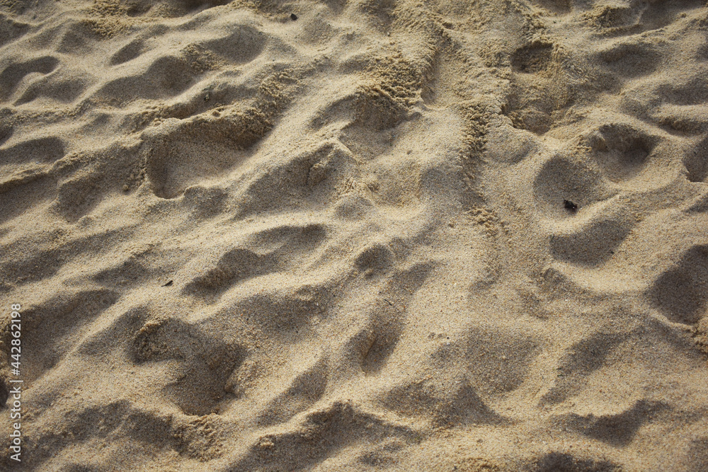 Beach sand background Beach sand background