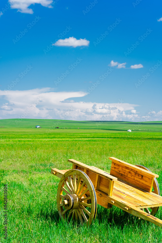 Traditional cargo cart in Inner Mongolia, China, on green grassland.