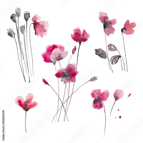 Wallpaper Mural Hand drawn ink and watercolor vector illustration: red poppies flowers and buds isolated on white background Torontodigital.ca