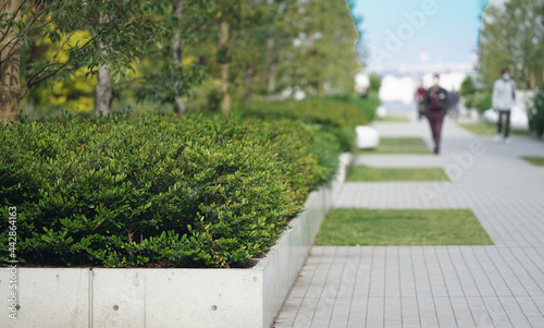 Wallpaper Mural Green sidewalk on a sunny blue sky day Torontodigital.ca