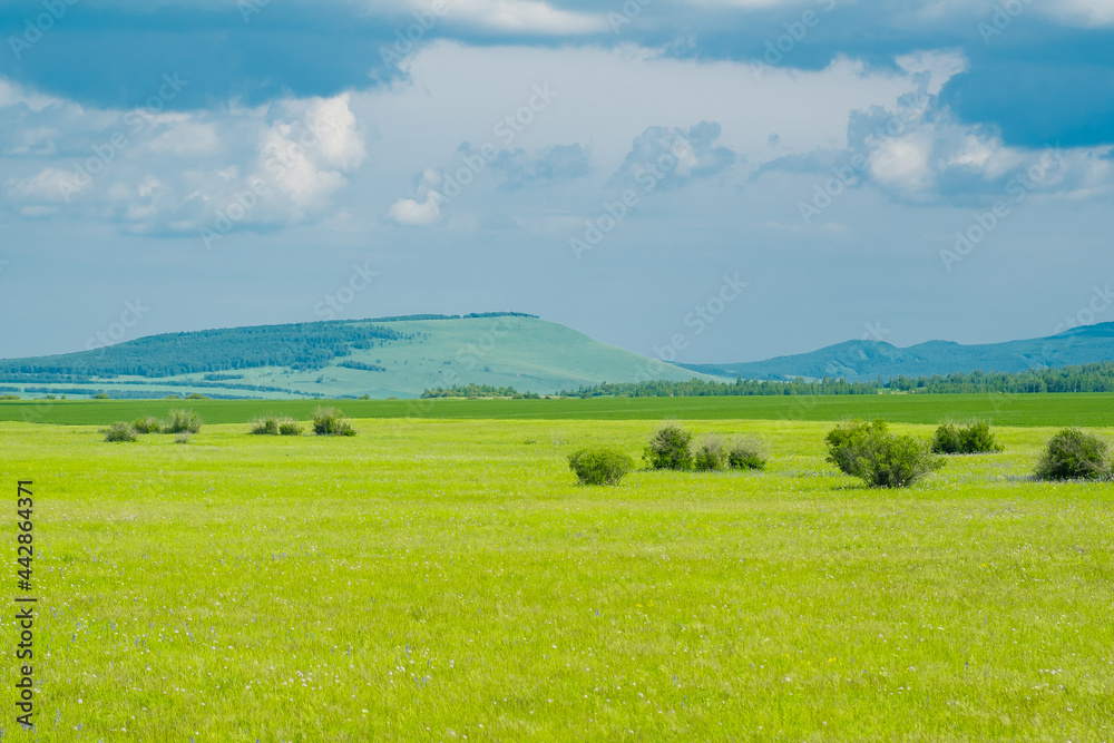 The summer landscape at Hulunbuir grassland, Inner Mongolia, China.