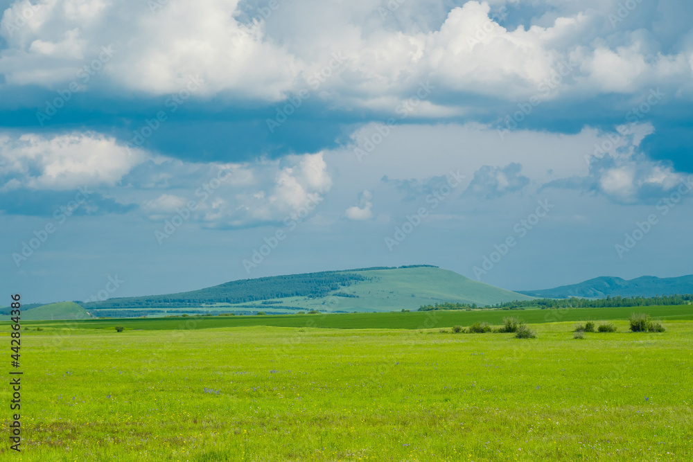Obraz premium The summer landscape at Hulunbuir grassland, Inner Mongolia, China.