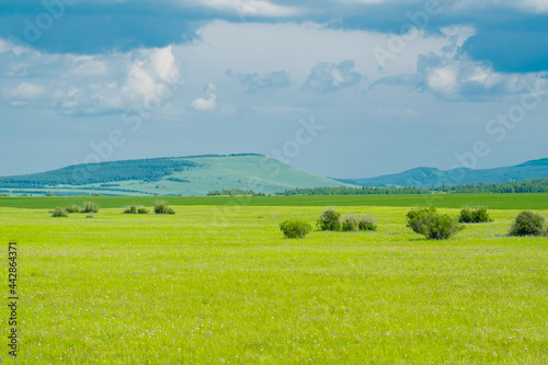 The summer landscape at Hulunbuir grassland, Inner Mongolia, China.