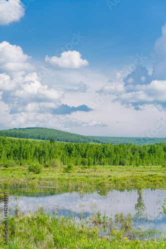 The forest and big grassland in Hulunbuir, Inner Mongolia, China.