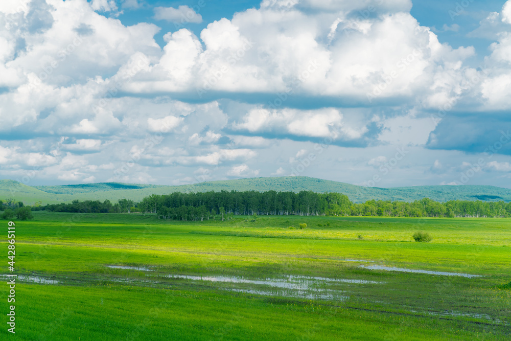 The forest and big grassland in Hulunbuir, Inner Mongolia, China. The forest and big grassland in Hulunbuir, Inner Mongolia, China.