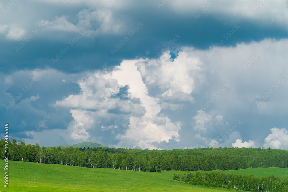 The forest and big grassland in Hulunbuir, Inner Mongolia, China. The forest and big grassland in Hulunbuir, Inner Mongolia, China.