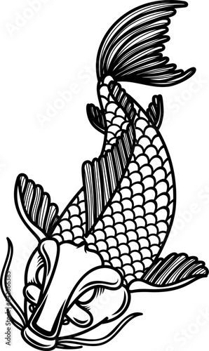 Illustration of carp koi. Design element for poster, card, banner, menu. Vector illustration