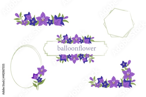 桔梗（キキョウ）のフレーム素材セット