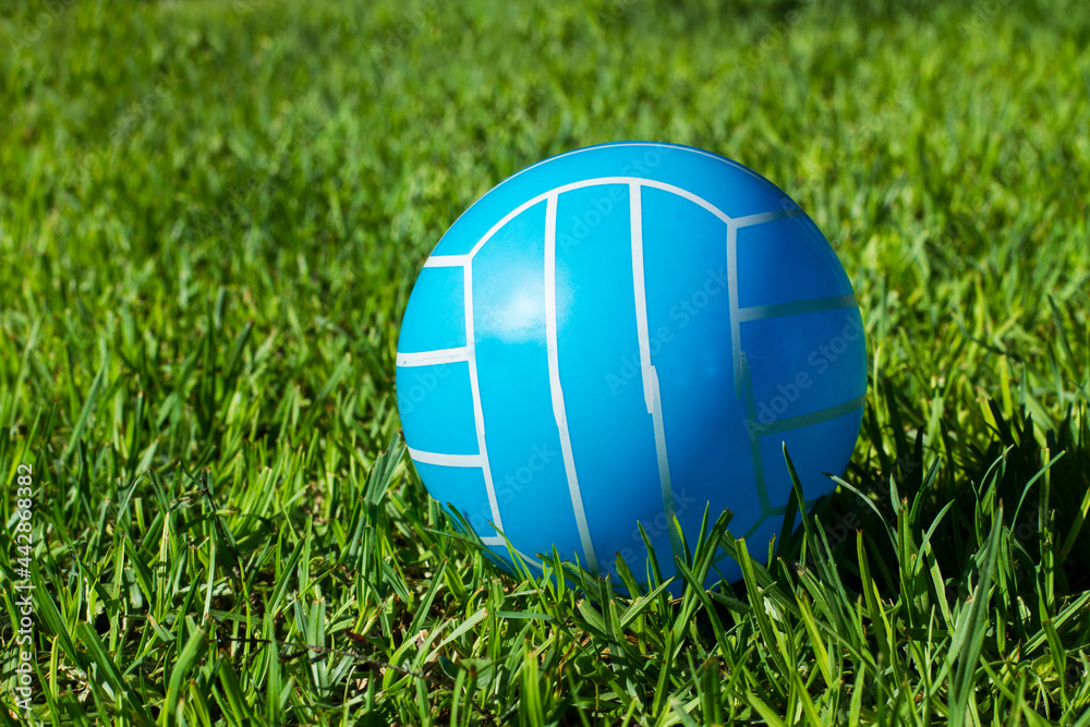 Pelota de plástico celeste con rayas blancas sobre el cesped. Vista de frente y de cerca Pelota de plástico celeste con rayas blancas sobre el cesped. Vista de frente y de cerca