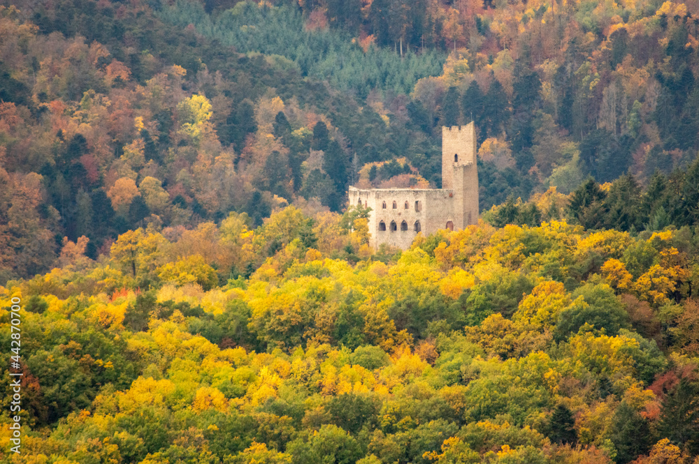 Ruine d'un château fort au milieu d'une forêt d'automne