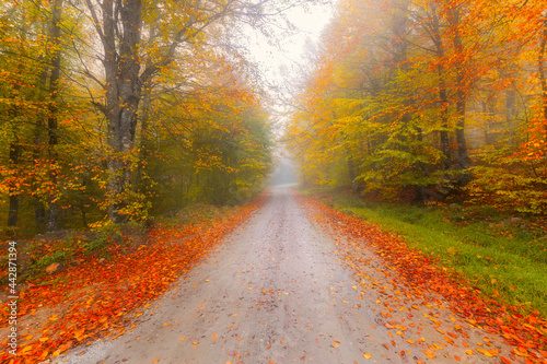 The national park in Bolu, which should be seen in autumn. (Yedigöller Milli Parkı). Bolu, Istanbul, Turkey.