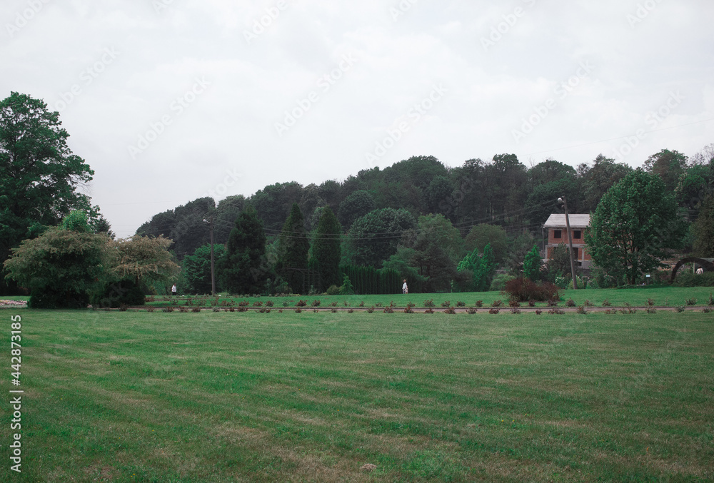 Botanical garden landscape in Eastern Europe, Ukrainian botanical garden path