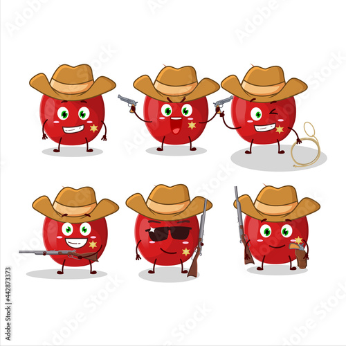 Cool cowboy pomegranate cartoon character with a cute hat